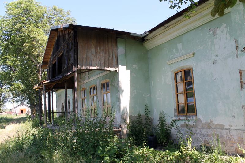 Zizi, femeia care-a dat ROMÂNIA peste cap. Ferdinand l-a închis pe Carol al II-lea la mănăstire. ”Sunt mort și te ador”. S-au stins la o lună unul după celălalt