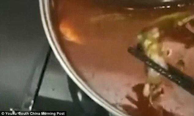 Ce a găsit o gravidă în supa de la restaurantul chinezesc: ”Te plătim ca să avortezi!”