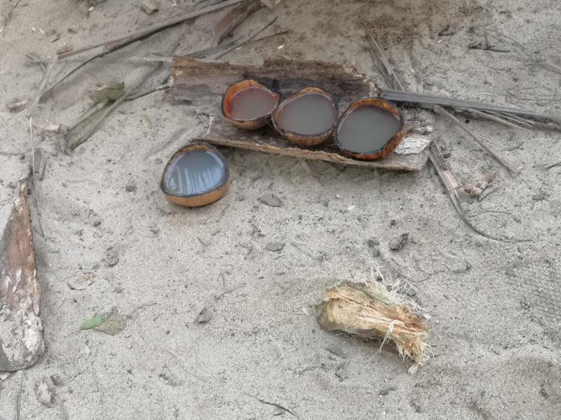 Concurenții din ”Ultimul Trib” care vor ajunge pe insula pustie trebuie să se obișnuiască cu... mai nimic!