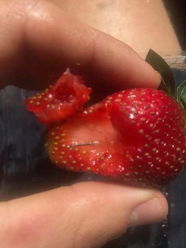 Este HAOS în Australia, după ce s-au găsit ACE DE CUSUT în interiorul căpșunilor de pe piață. Prima arestare, astăzi!
