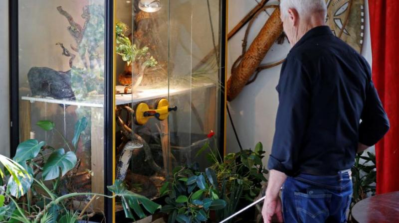 Un bărbat trăiește cu 400 de reptile în casă! Cum arată locul