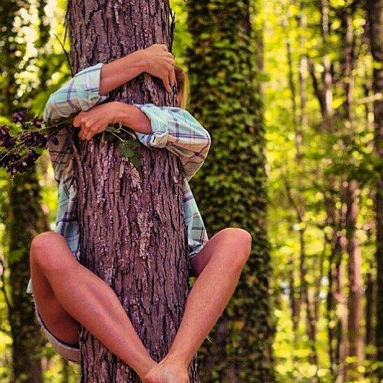 Ce zodie ești în horoscopul copacilor! Vei afla cine îți poartă mereu noroc