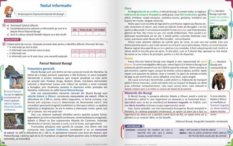 Revoltător! Ce învață elevii din manualul de Limba și Literatura Română de clasa a IV-a despre ,,Babele" și ,,Sfinxul''