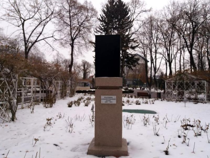 I-au sudat pe cap o cușcă neagră celei care a făcut posibilă Unirea! Nu se știe când o vor ”elibera”