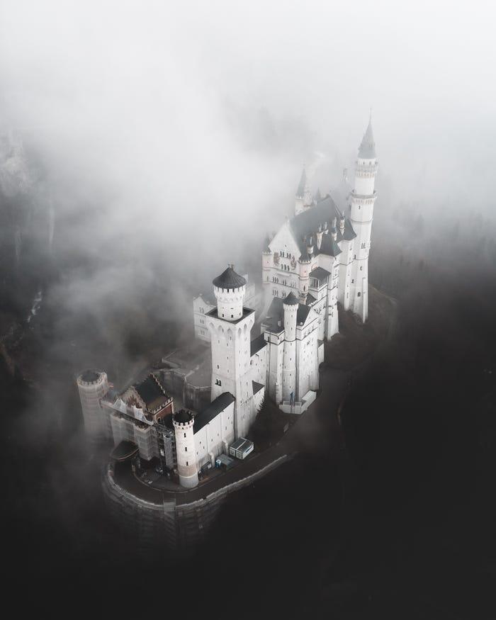 Cele mai frumoase fotografii din 2019. Premiul cel mare valorează 25.000 de euro