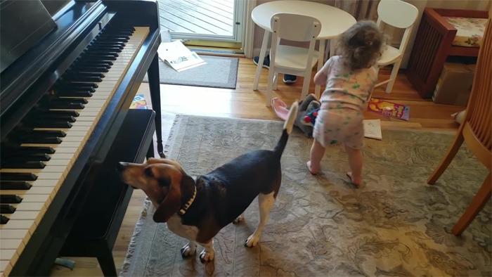 VIDEO - De necrezut! Un câine talentat cântă la pian pentru un copilaș