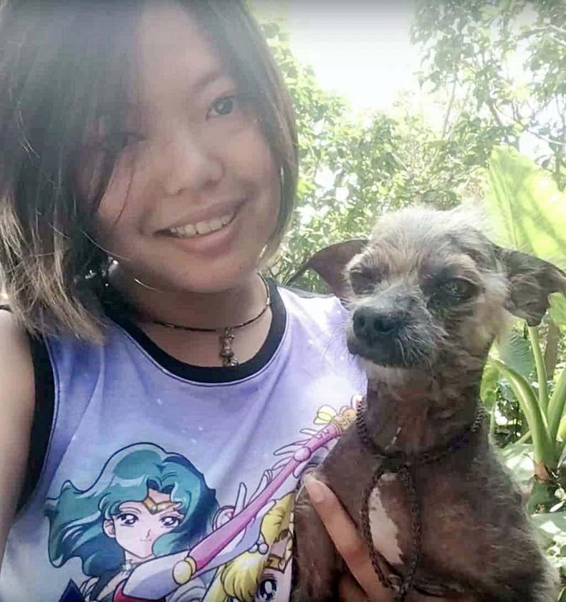 Cine are suflet dintre noi? Condamnat la moarte pentru că era greu de îngrijit. O mână de aur a dat toți banii ca să-i salveze viața!