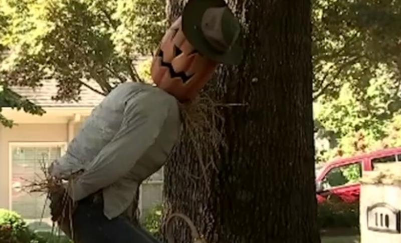 Vecinii s-au făcut roșii de rușine! O sperietoare indecentă a revoltat un întreg oraș | VIDEO