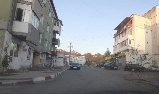 Un copac a răsărit în mijlocul străzii! Protestul unui bărbat care și-a distrus mașina într-o groapă nu a fost ignorat de primar: „Să le dea Dumnezeu sănătate!”