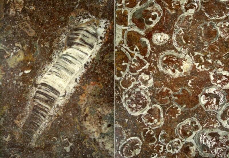 Mine de aur la o stație de metrou din Capitală! Milioane de bucureșteni trec zilnic pe acolo, însă puțini știu acest secret