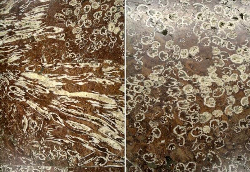 Mine de aur la o stație de metrou din Capitală! Milioane de bucureșteni trec zilnic pe acolo, însă puțini știu acest secret