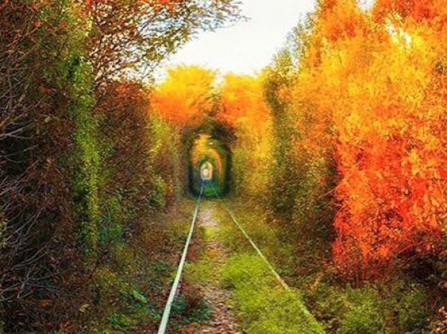 Nepăsarea Autorităților A Distrus Tunelul Iubirii Din Caras Severin Imagini Triste Cu Paradisul Iubiţilor Invadat De Buruieni Antena 1