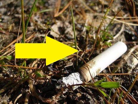 Amendă de până la 5.000 de lei, dacă ești prins făcând această greșeală pe stradă!