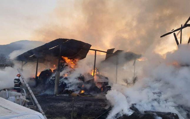 FOTO/ Ard două hale pline cu baloți de paie. Pagubele sunt uriașe