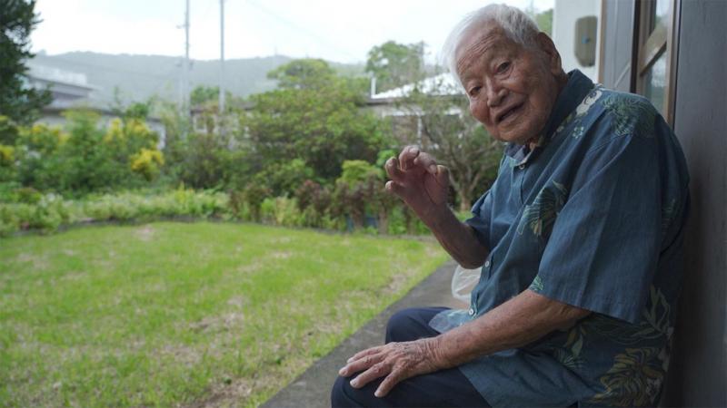 Secretul japonezilor care au bătut recordul longevității: „Fie că vremea este bună sau rea, mâncăm Shikuwasa”