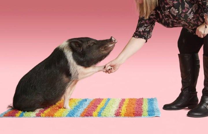 19 dintre cele mai bizare recorduri mondiale pe care nu le-ai cunoscut niciodată - FOTO