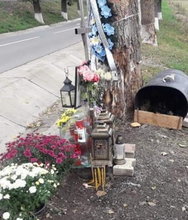 Sfâșietor! Ce a făcut un câine din Iași, după moartea unui tânăr! Mii de oameni îl privesc cu milă | FOTO