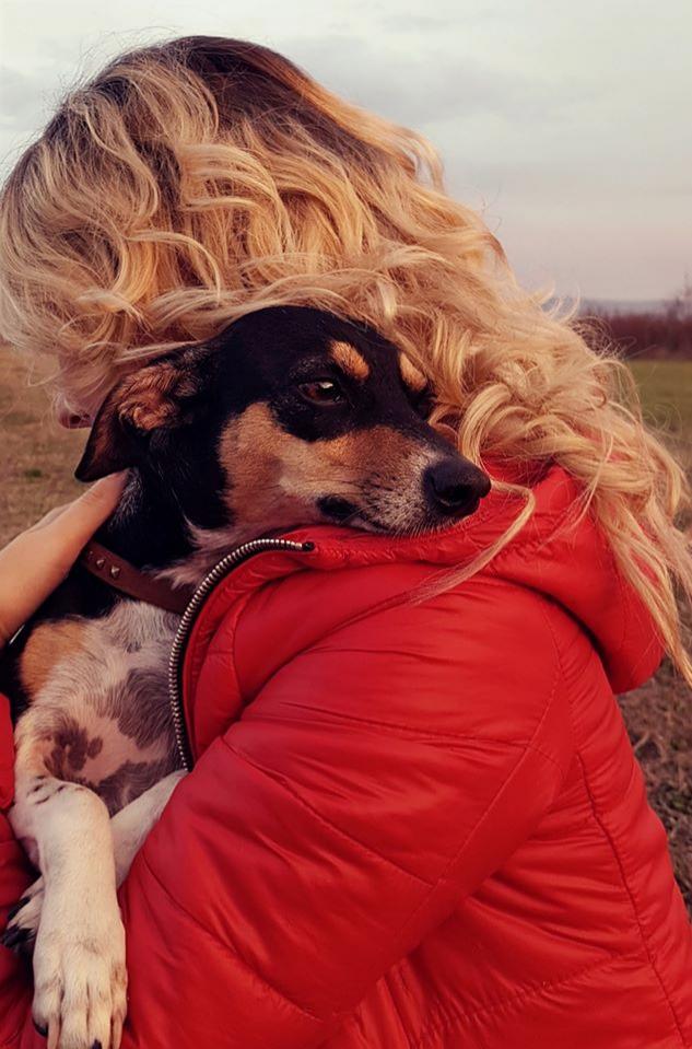 O recompensă de 1100 de euro a scos un sat &icirc;ntreg din casă. Localnicii au căutat o cățelusă pierdută. &bdquo;Ne sunau să ne &icirc;ntrebe c&acirc;nd le ducem banii&rdquo;