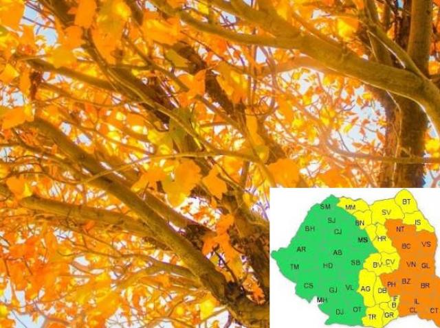 Vremea 19 Noiembrie 2019 Buletin Meteo București și La Munte Temperaturi Ridicate Antena 1