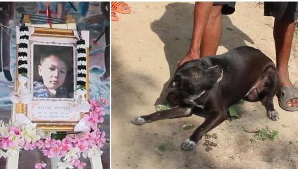 Și-a urmat cel mai bun prieten până la moarte! Un copil de doi ani s-a înecat într-un iaz după ce și-a urmărit cățelul care voia să bea apă