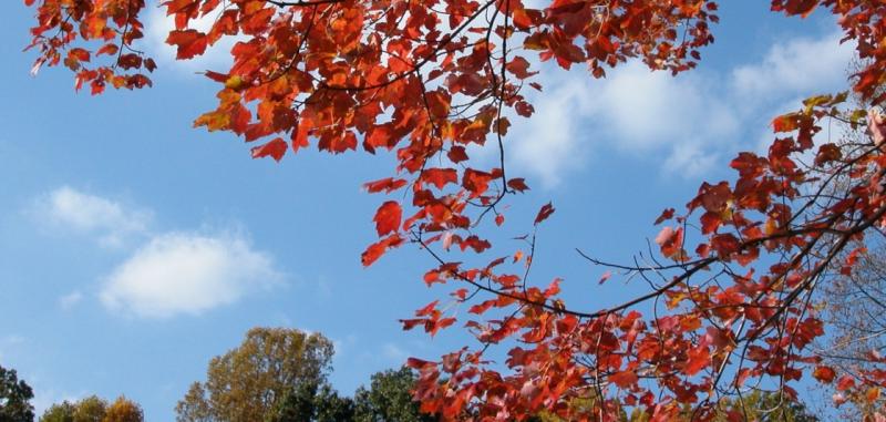 Vremea se schimbă iar, începând cu duminică! Ce anunță meteorologii