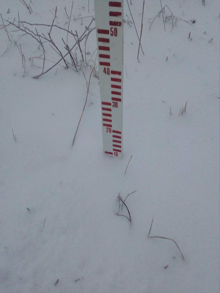 FOTO/ VIDEO.  Iarnă prinde contur! Zăpada măsoara deja 10 centimetri. Peisaj de vis la Bâlea Lac și Rânca