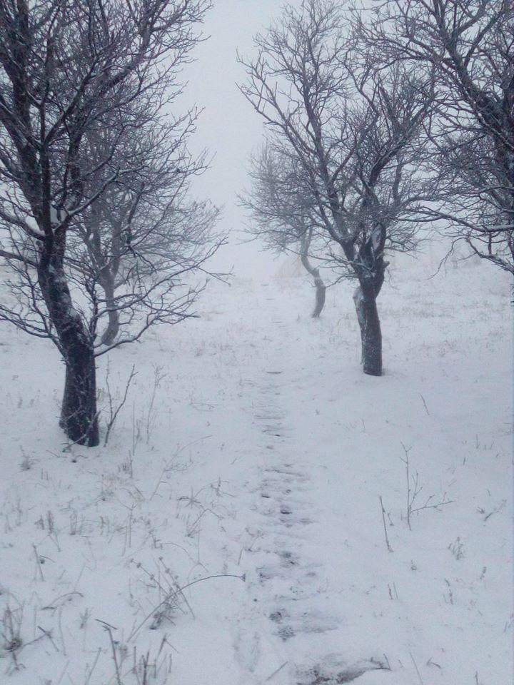 FOTO/ VIDEO.  Iarnă prinde contur! Zăpada măsoara deja 10 centimetri. Peisaj de vis la Bâlea Lac și Rânca