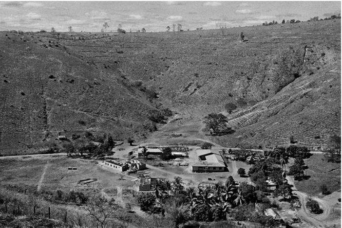 Un fotograf și soția lui au plantat două milioane de copaci pentru a reface de la zero o pădure: "Dacă nu ne vom reîntoarce spiritual la planeta noastră vom fi în primejdie"