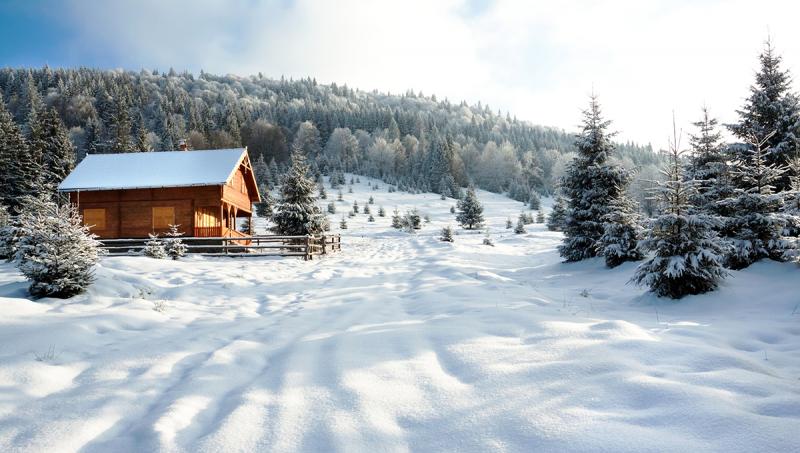 Sfaturi pentru fotografii reusite cu iarna si zapada