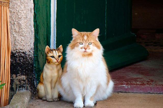Foto - Rubble este cea mai bătrână pisică din lume! Aceasta are vârsta cât jumătate din media de viața a unui om.