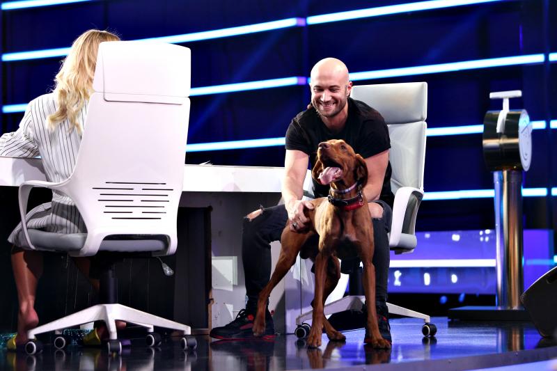 Andrei Bendeac își umilește fratele într-un roast de senzație, pe Mihai Bendeac: „El nu are prieteni, are colaboratori!”