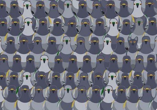 TESTUL care a speriat Internetul: Tu găsești pisica în desen? Ai zece secunde!