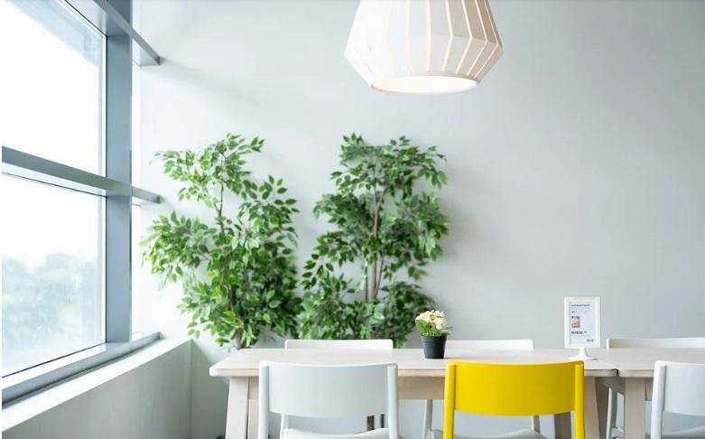 Patru metode practice pentru a menţine un aer curat în locuinţă pe timpul iernii