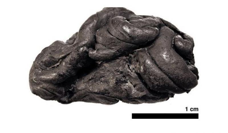 Modul în care arătau femeile din Epoca de Piatră, descoperit cu ajutorul unei gume de mestecat. „Este o premieră”