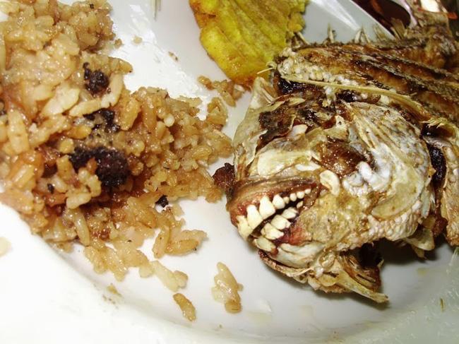 FOTO/ Vei fi terifiat de acest pește! Are dinți identici cu cei de om și face parte din familia Piranha