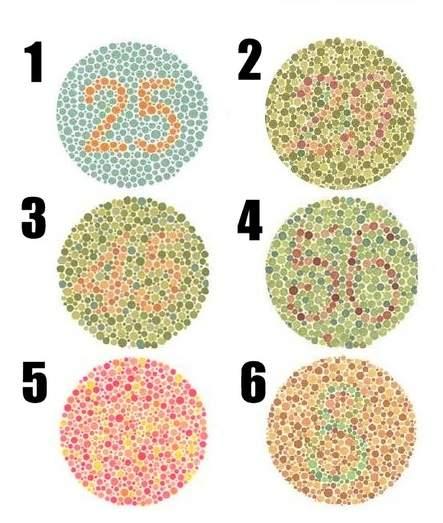 Testul care a înnebunit România! Tu ce vezi în cercul 5?