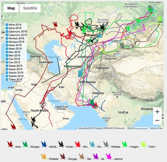 Un vultur a trimis sute de SMS-uri în roaming și a falimentat un studiu științific! ”Min ne-a costat bani grei!”