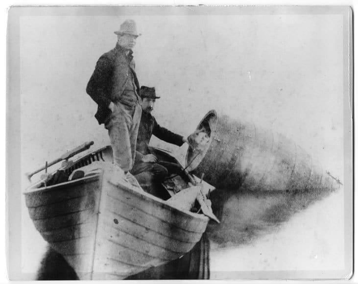 O profesoară s-a urcat într-un butoi de murături și s-a aruncat de la 21 de metri, pentru bani! Cum au găsit-o salvatorii: „Era cam șifonată!”