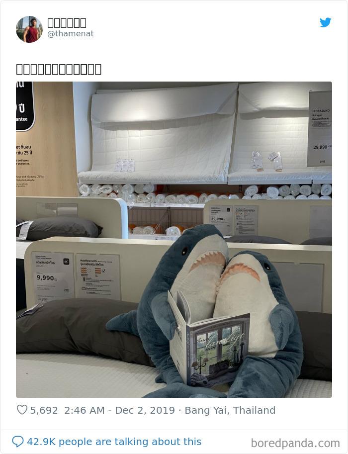 Un rechin de pluș se comportă ca un om într-un magazin celebru de mobilă! Tu l-ai văzut? - Galerie Foto