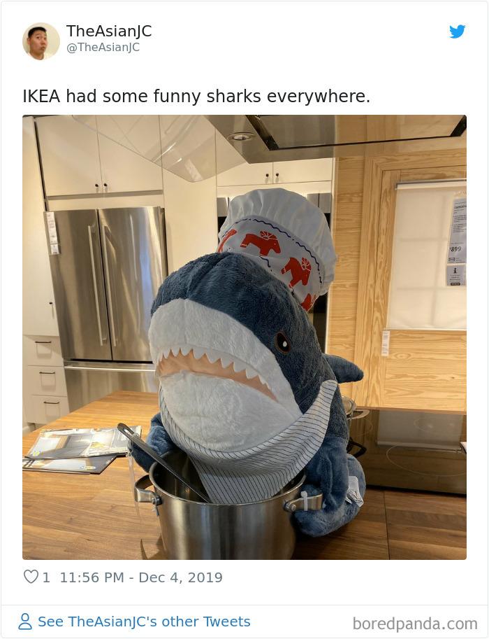 Un rechin de pluș se comportă ca un om într-un magazin celebru de mobilă! Tu l-ai văzut? - Galerie Foto