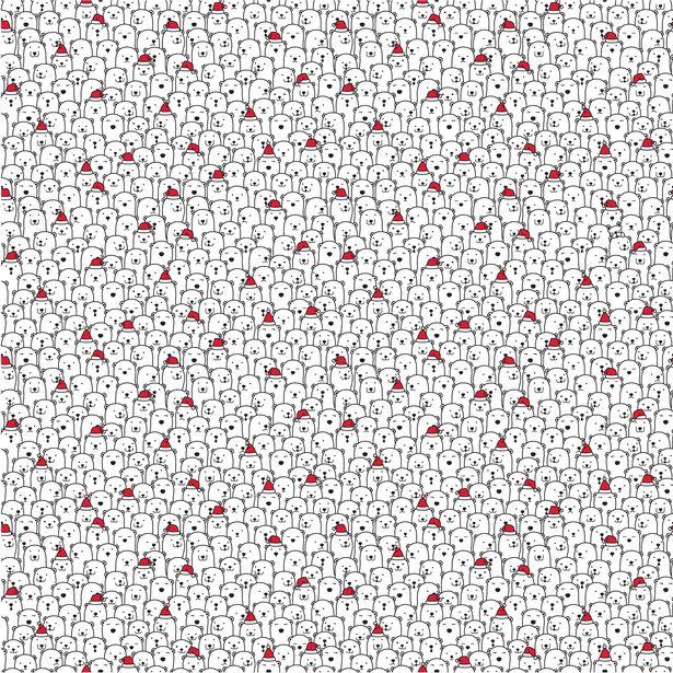 Testul ce a înnebunit internetul! Poți găsi câinele printre urșii polari? „Mulți abandonează, e prea greu”