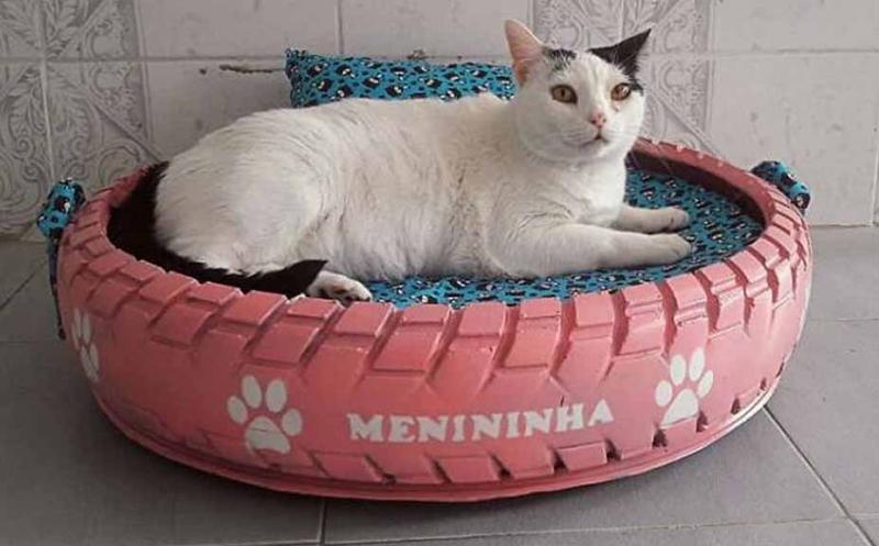 De apreciat! Un tânăr cu suflet mare își dedică timpul pentru a transforma anvelopele vechi în pătuțuri pentru animalele abandonate