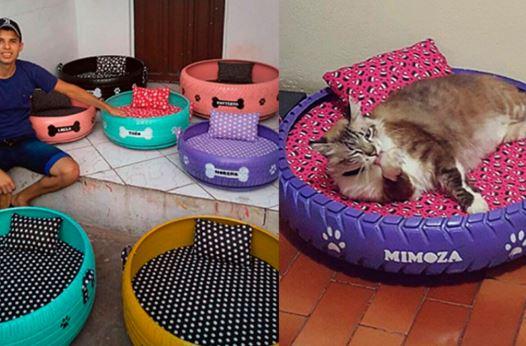 De apreciat! Un tânăr cu suflet mare își dedică timpul pentru a transforma anvelopele vechi în pătuțuri pentru animalele abandonate