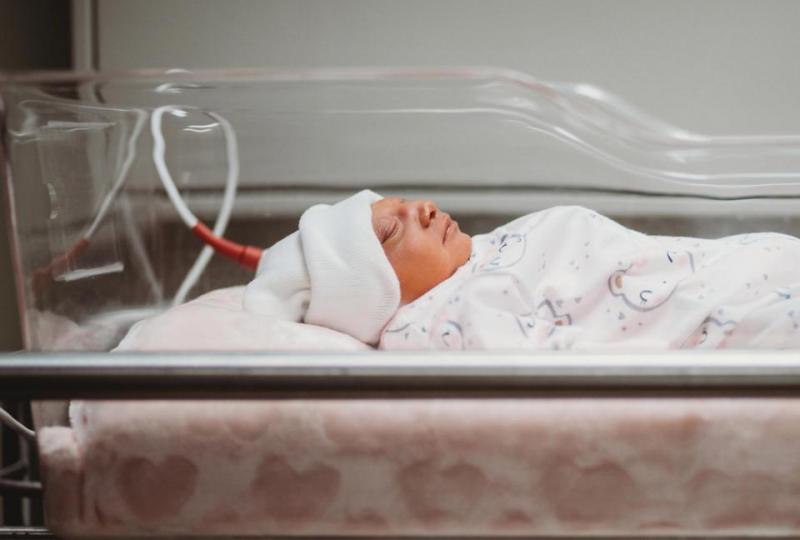 Bebelușul folosit pentru „piese de schimb”. A fost adusă pe lume de părinți pentru a salva alte vieți