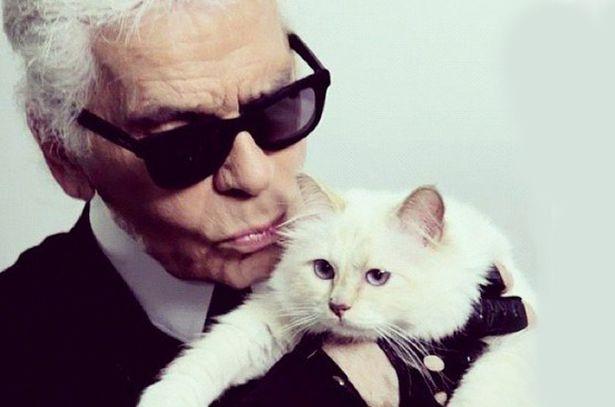 Cum s-a îndrăgostit Karl Lagerfeld de pisica sa, dorind-o de soție: ”Am răpit-o! Nu credeam să iubesc așa!”