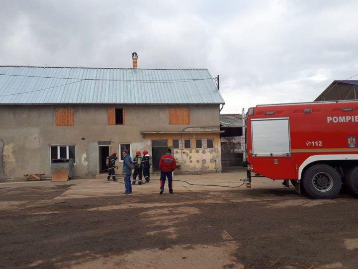 Incendiu catastrofal! Zeci de tone de rumeguș au luat foc la o fabrică din Câmpeni