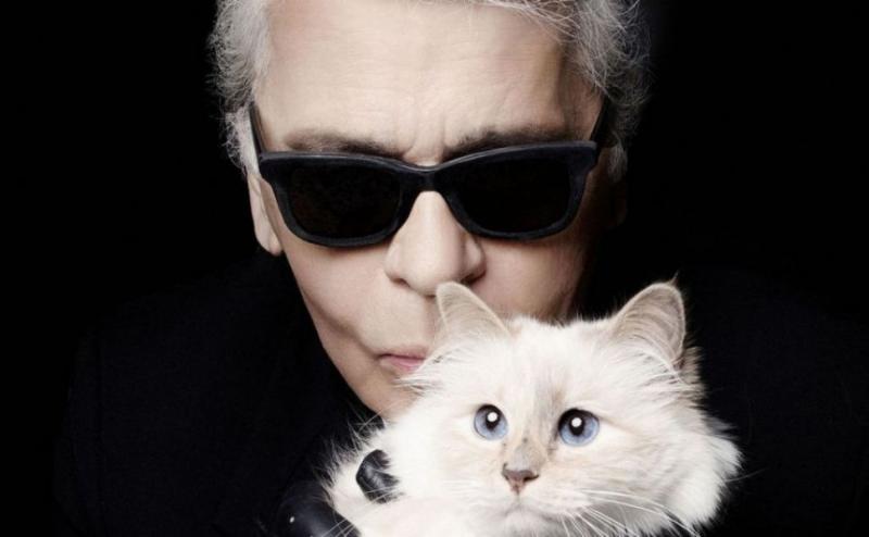 Averi uriașe! Top 5 cele mai bogate animale din lume