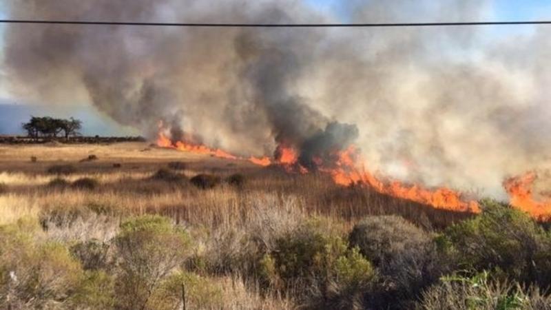 70 de incendii la Buzău, în doar cinci zile! Ce detaliu șocant a ieșit la iveală