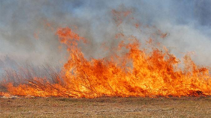 70 de incendii la Buzău, în doar cinci zile! Ce detaliu șocant a ieșit la iveală
