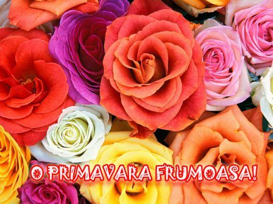 Mesaje de 1 Martie 2019. Ce urări să faci de Mărțișor! Felicitări de 1 Martie